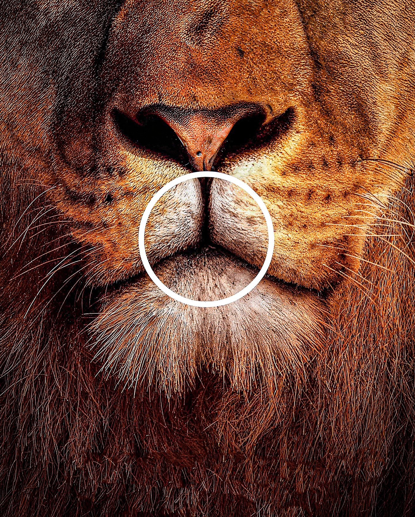 Mercedes-Benz Hides Its Logo in Nature for Stunning Campaign