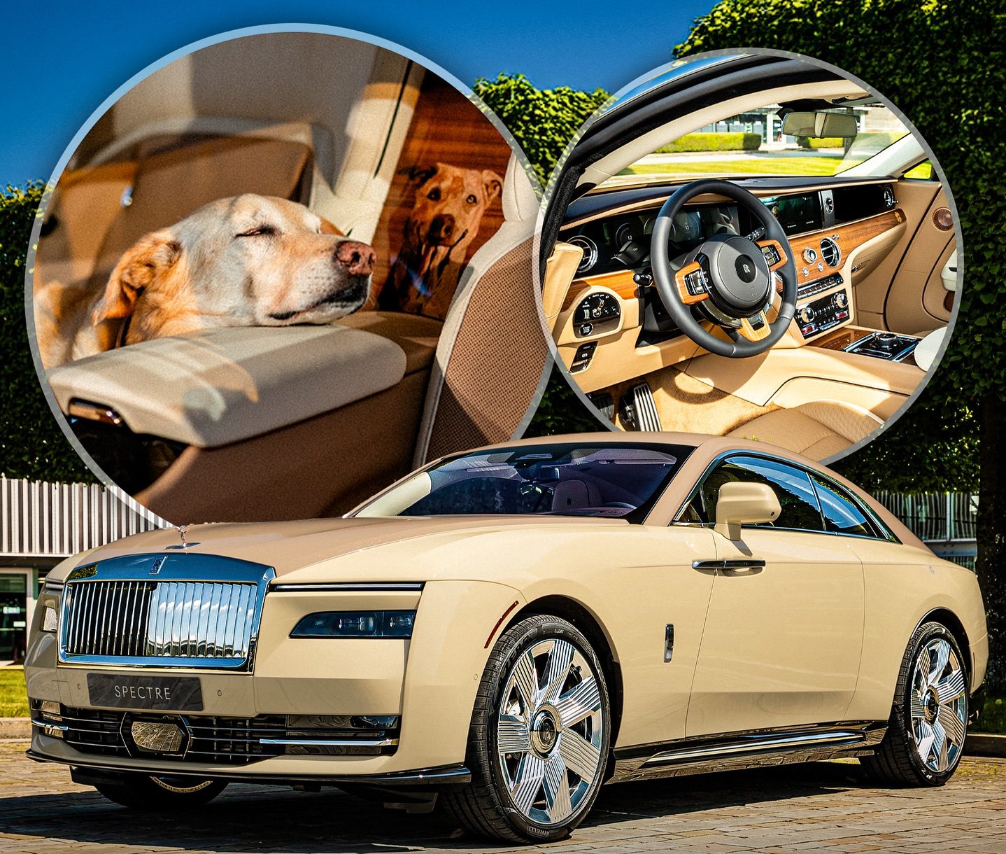 Rolls-Royce Builds $400K+ Electric Spectre to Honor a Family Dog