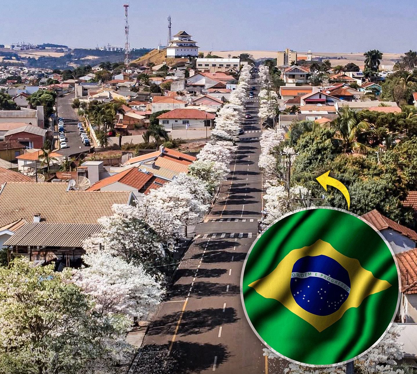 The Japanese-Brazilian City That Feels Like a Hidden Gem